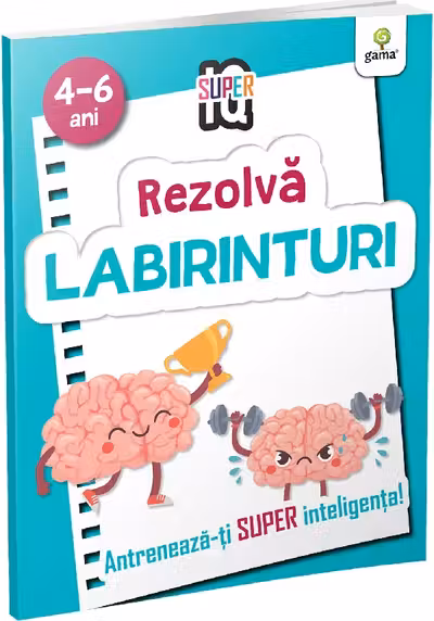 Rezolva labirinturi