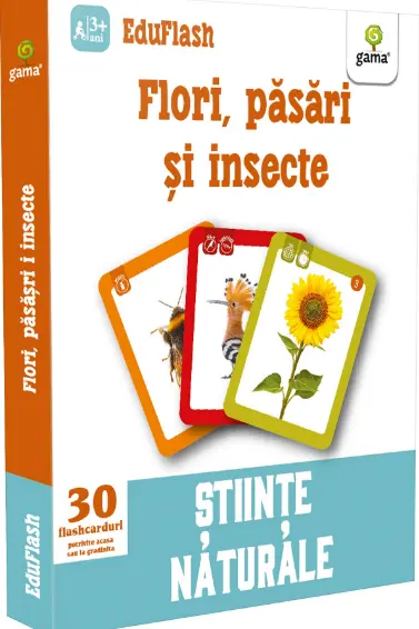Flori pasari si insecte