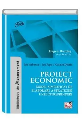 Proiect economic. Model simplificat de elaborare a strategiei unei intreprinderi