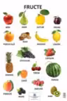 Plansa Fructe
