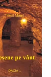 Desene pe vant