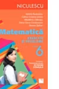 Matematica. Exercitii si probleme pentru clasa a VI-a (Rozica Stefan)