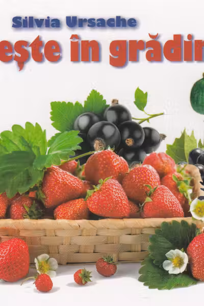 Cunosc lumea pas cu pas. Ce creste in gradina
