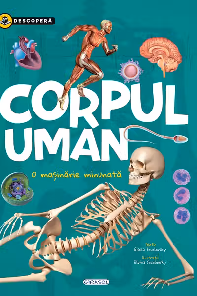 Corpul uman
