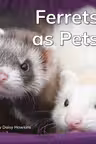 Ferrets as Pets
