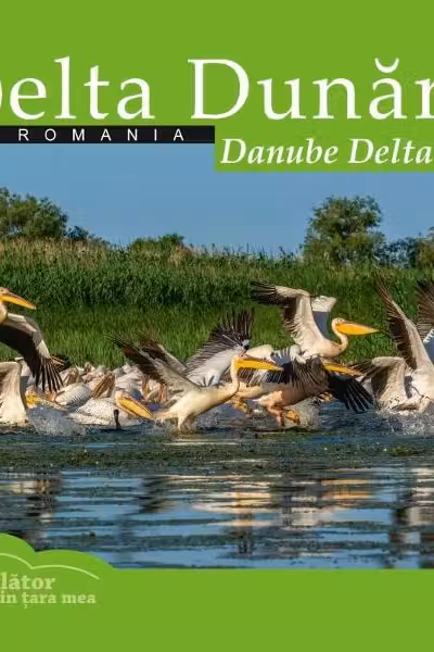 Delta Dunarii