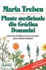 Plante medicinale din Gradina Domnului
