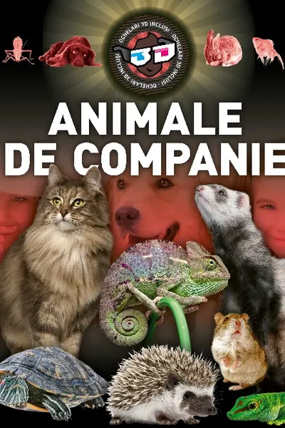 Animale de companie 3D