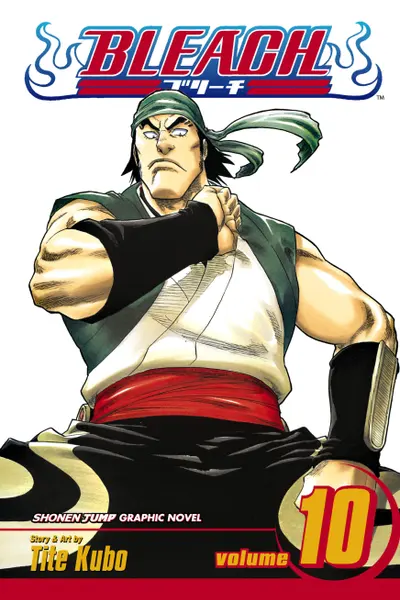 Bleach Vol. 10
