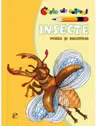 Insecte