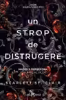 Un strop de distrugere