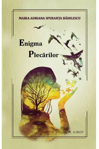Enigma plecarilor