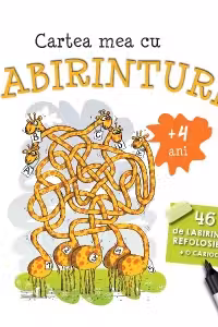 Cartea mea cu labirinturi (+ 4 ani) -  46 de labirinturi refolosibile + o carioca