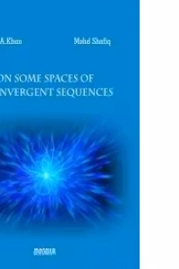 On some spaces of I-convergent sequences