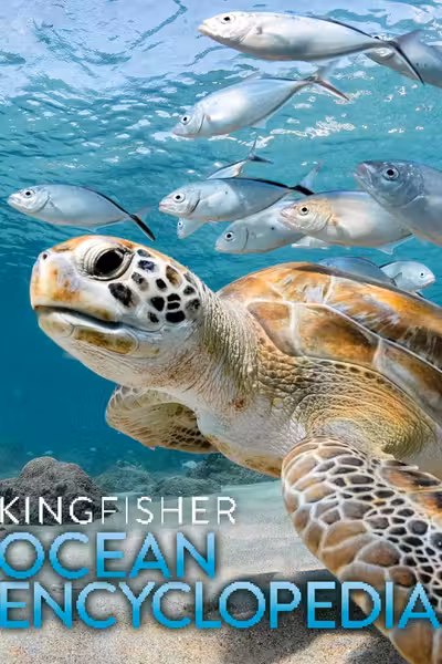 Kingfisher Ocean Encyclopedia