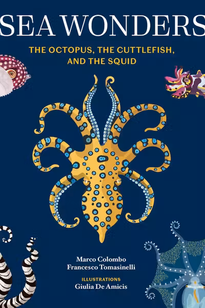 Sea Wonders