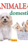 Animale domestice