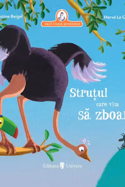 Strutul care visa sa zboare