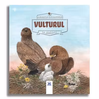 Animale salbatice in natura: Vulturul