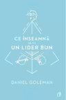 Ce inseamna sa fii un lider bun
