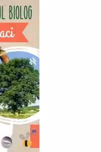 Micul Biolog - Copaci