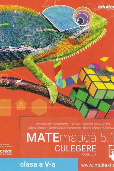 Matematica 5.1 - Clasa a 5 - Culegere Vol.1