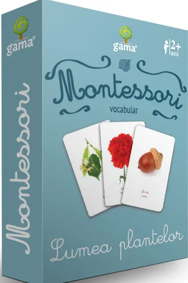 Vocabular. Lumea plantelor