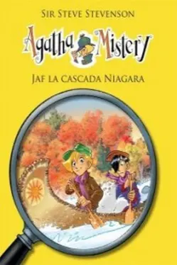 Agatha mistery - Jaf la cascada Vol.4