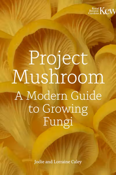 Project Mushroom