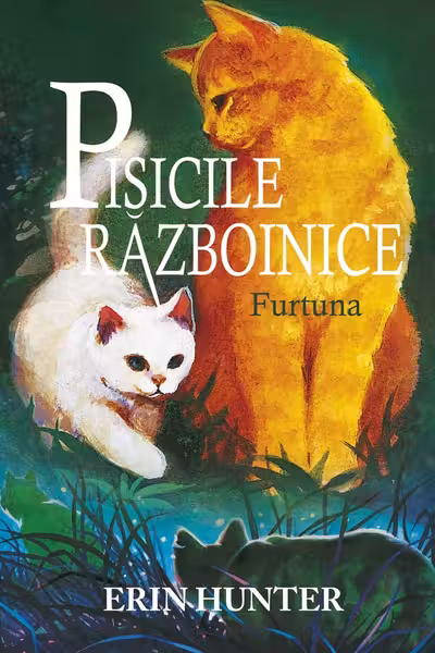 Furtuna