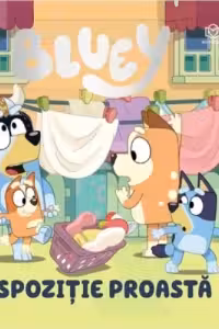 Bluey - Dispozitie proasta