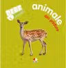 Bebe invata: Animale din padure