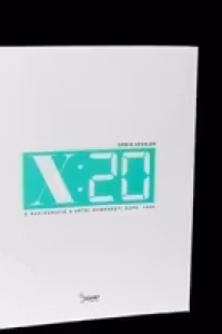 X:20 - o radiografie a artei romanesti dupa 1989