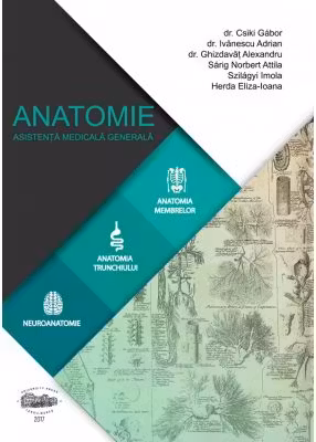 Anatomie pentru AMG - Csiki Gabor