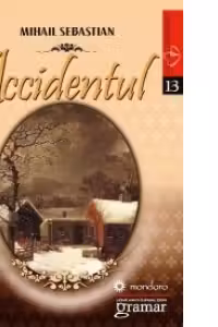 Accidentul