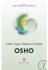 Calea yoga. Esenta si origini