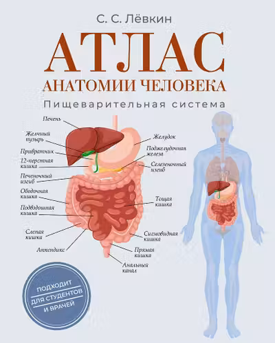 Атлас анатомии человека. Пищеварительная система