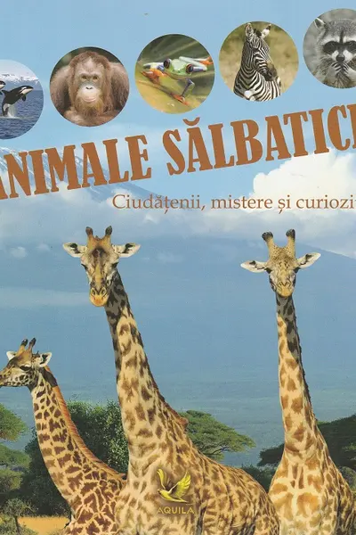 Animale salbatice-curiozitat