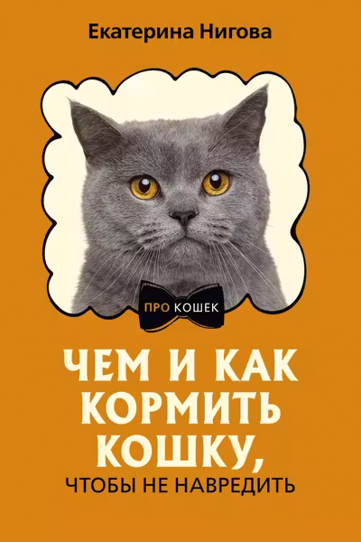 Чем и как кормить кошку чтобы не навредить