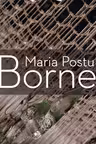 Borne