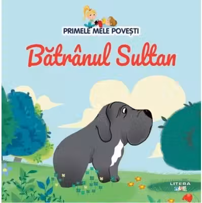 PRIMELE MELE POVESTI. BATRANUL SULTAN