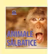 Animale salbatice - 14 imagini cu animale salbatice