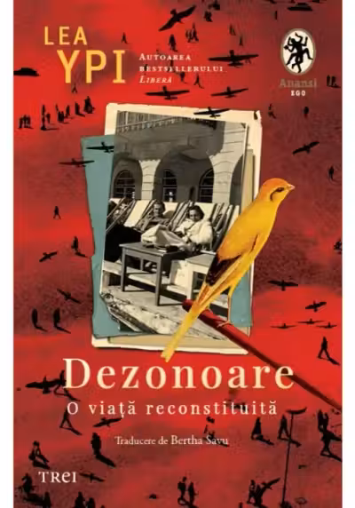 Dezonoare