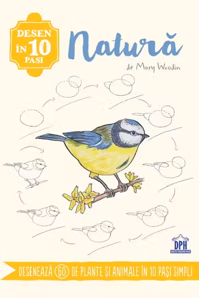 Desen in 10 pasi. Natura