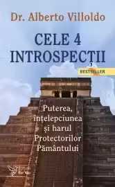 Cele 4 introspectii