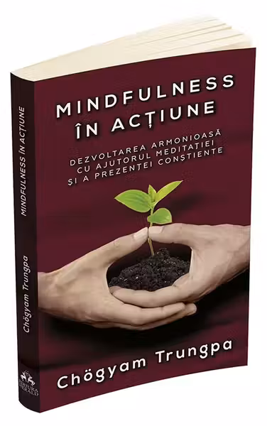 Mindfulness in actiune