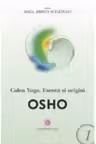 Calea yoga. Esenta si origini