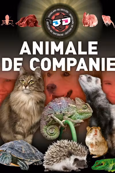 Animale de companie 3D