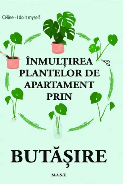 Înmulțirea plantelor de apartament prin butășire