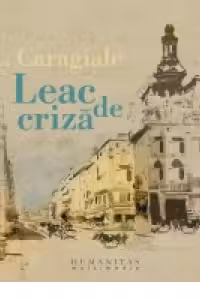 Leac de criza (Audiobook)